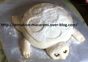 La tortue - Pain Blanc