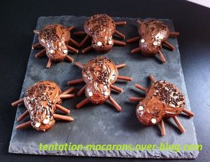 Petites arraignées HALLOWEEN