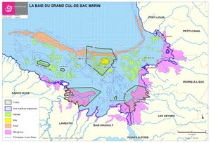 La réserve du Grand Cul de Sac Marin