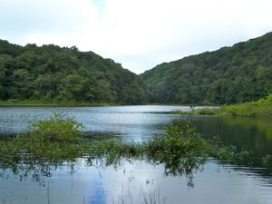 Le Grand Etang