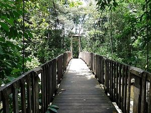 Petit pont suspendu