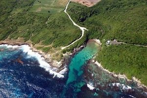 La baie Olive
