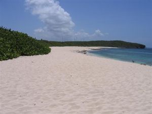 L'anse à la gourde