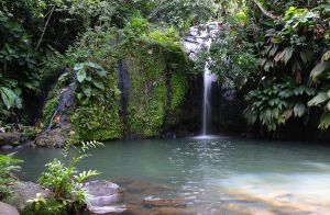 Cascade Bis