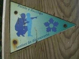 Pointe à Bacchus
