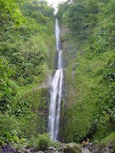 Les chutes Moreau