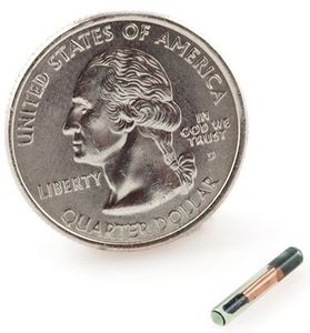 Puce électronique implantable