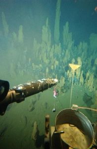 Rainbow Hydrothermal Vents (GCG822)