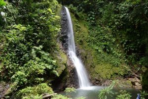La cascade de Bois-Banane