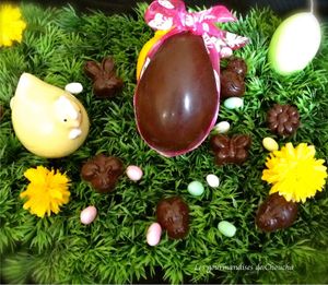 Chocolats noirs fourrés aux pistaches, ganache et coulis de framboise 1er prix au concours 750G