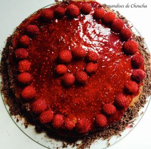 Entremet chocolat framboise de Christophe Felder