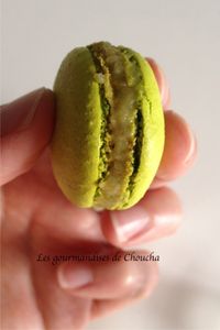 Macarons pistache