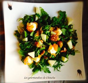 salade de roquette sucrée- salée : chèvre, granny smith, abricots et noix