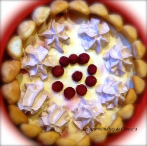 Charlotte lytchee framboises