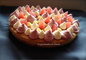 Fantastik agrumes, coco et framboise