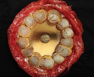 Paris Brest de Conticini