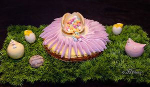 Tarte vanille framboise