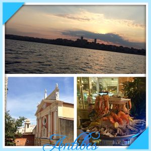 la bonne adresse de fruits de mer : Albert 1 er Antibes (06600)