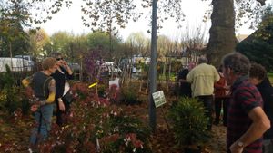 FÊTE DES PLANTATIONS 2015