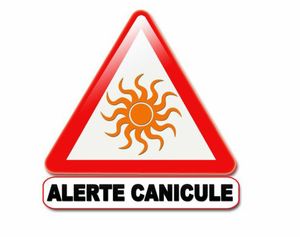 ALERTE CANICULE