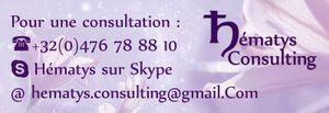 Création du logo Hématys Consulting