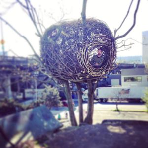 Cet artiste a littéralement construit son nid...géant