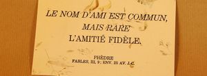 Je suis ton ami, je peux compter sur toi mais l'inverse n'y compte pas