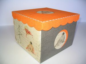 La boîte Taïga.