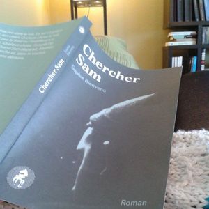 Chercher Sam de Sophie Bienvenu
