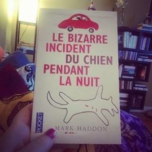 Le bizarre incident du chien pendant la nuit de Mark Haddon