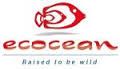 ECOCEAN : leader mondial de la PCC (Post-larval Capture and Culture)