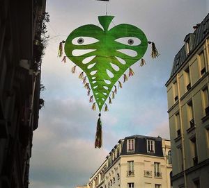 photo fruit du dragon