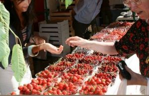 Le marché aux fruits rouges de Noyon