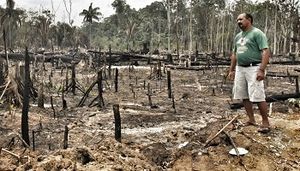 Pétition : Brésil : mettez un carton rouge au pillage des terres ! SIGNEZ LA PÉTITION Déjà 32.244 Signatures Je m'abonne à la newsletter de CCFD-Terre Solidaire Signez la pétition Partager sur facebook Brésil : mettez un carton rouge au pillage des terres !