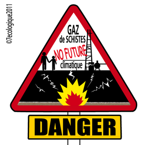 Gaz de schiste : le Sahara en danger ?