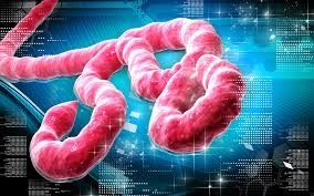 Les laboratoires US en Afrique de l’Ouest et Ebola