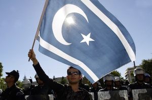 Une des raisons pour laquelle Ankara a abattu le SU-24 russe