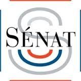 Sénat: La France contre Daech