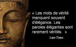 Propagande impériale & guerre financière contre le terrorisme (source LGS)