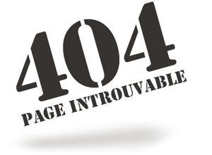 Publication du décret du 4 mars 2015 relatif au déréférencement des sites provoquant à des actes de terrorisme ou en faisant l'apologie et des sites diffusant des images et représentations de mineurs à caractère pornographique