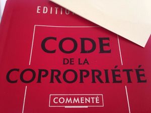 Carence de syndic de copropriété: un propriétaire peut désormais convoquer une AG grâce au nouvel article 17 de la loi de 1965
