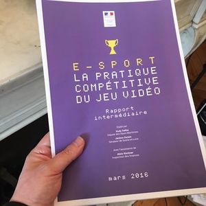 Le rapport sur le développement de l'e-sport remis à Axelle Lemaire ce 23 mars 2016