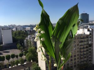 1er mai 2016: bonne fête du travail à tous !