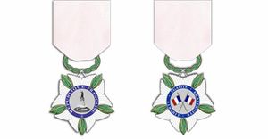 Une nouvelle décoration avec le décret du 12 juillet 2016: création d'une médaille nationale de reconnaissance aux victimes du terrorisme