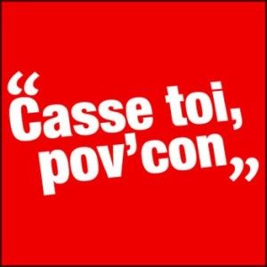 Casse-toi pov'con et les poursuites pour outrage: mon analyse pour Sputnik News