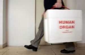 Dons d'organes: modalités d'expression du refus de prélèvement avec le décret du 11 août 2016