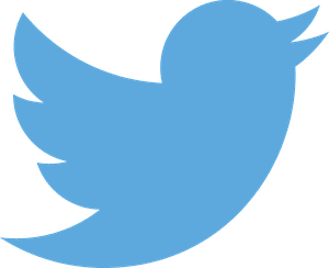 Apologie du terrorisme: 360.000 comptes supprimés par Twitter en un an