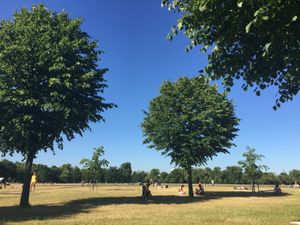 Crédit photo : Lilou Hyde park au soleil