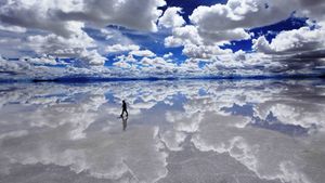 La Liberté d’expression a –t-elle des limites ?