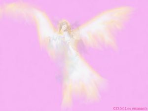 Sous les apparences du chaos, la conscience chemine.